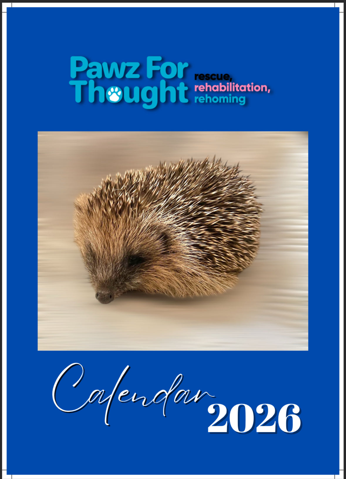 Pawz For Thought Hedgehog Calendar 2026