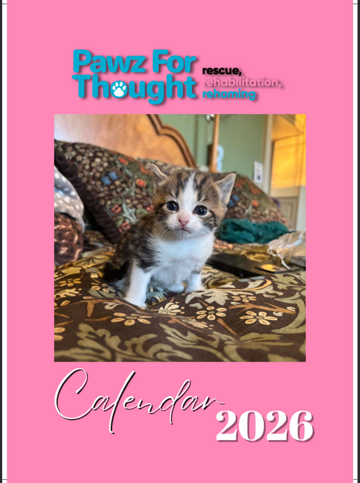 Pawz For Thought cat Calendar 2026