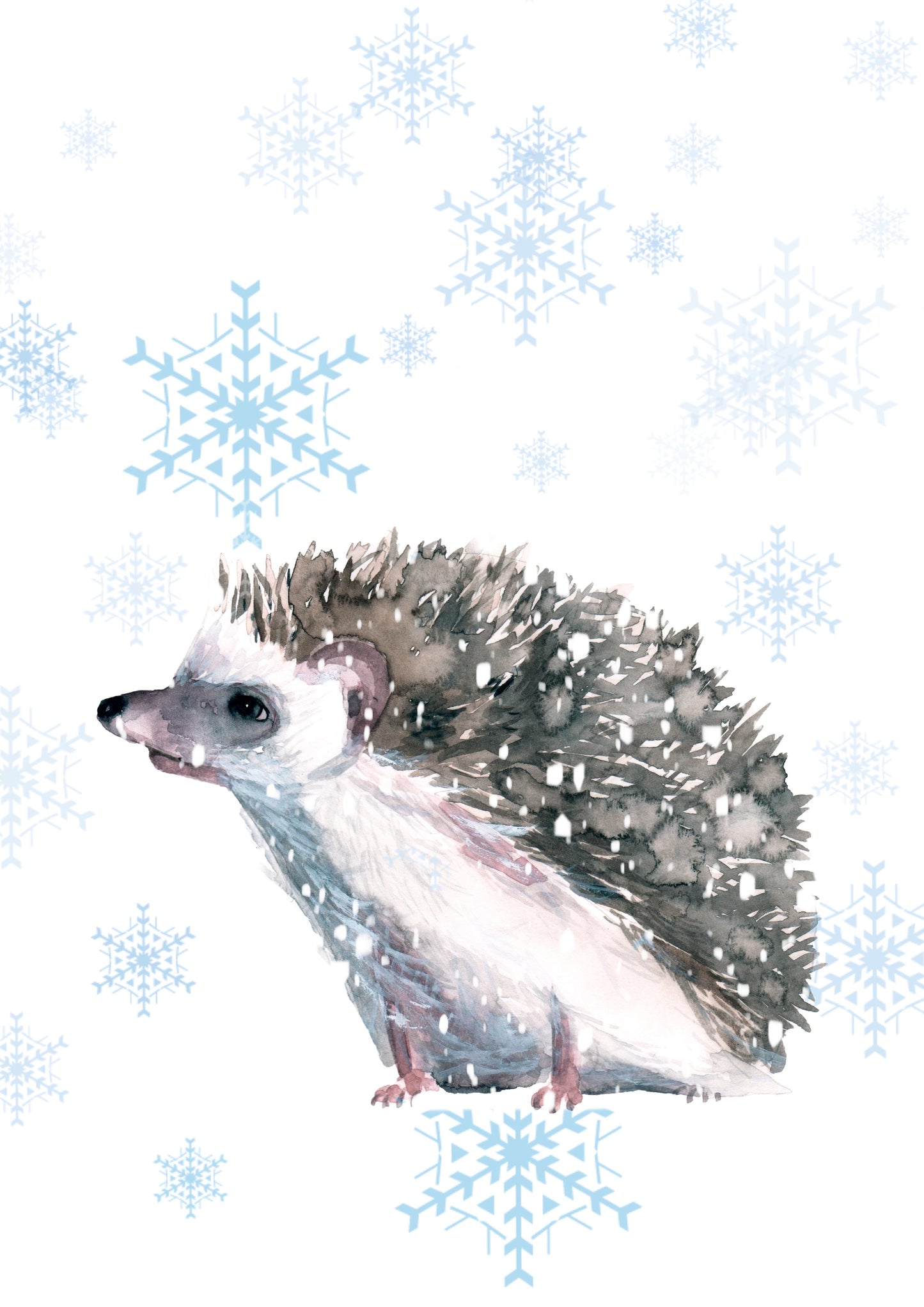 Pawz for Thought charity Xmas cards