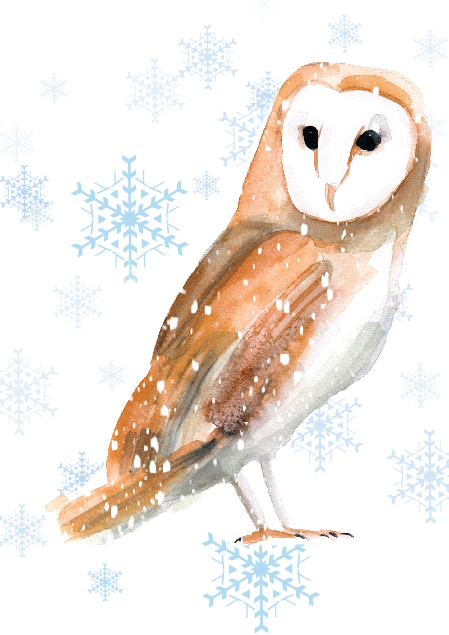 Pawz for Thought charity Xmas cards